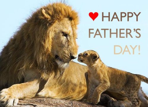 fathersdaylion