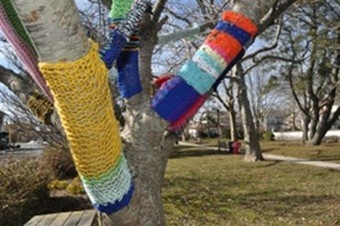 Knitting-Vandals-Launch-Purl-Attack