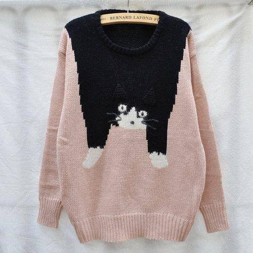 gatto su pull rosa1240162_640830809281674_464043143_n